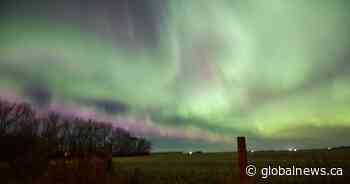 Another spectacular aurora borealis lights up Alberta sky