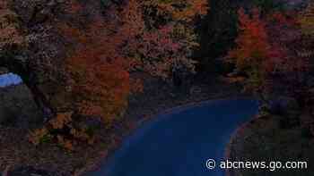 WATCH:  Drone video captures fall foliage in Butterfield Canyon, Utah