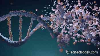 Physicists Discover How DNA Molecules Self-Assemble: Laws of Nature Harnessed To Create “Smart Materials”