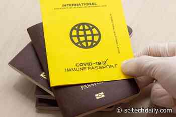 COVID Vaccine Passports: A Threat to Civil Freedoms and Rights or the Best Way To Prevent Another Lockdown?