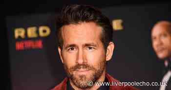 Hollywood superstar Ryan Reynolds 'geeked out' meeting former Everton and Liverpool striker