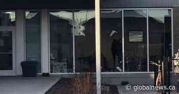 Moose loose in Saskatoon elementary school