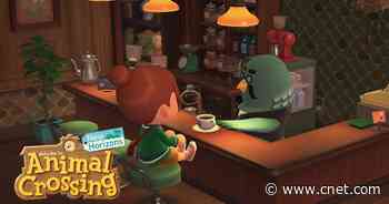 Animal Crossing: New Horizons. How to get Brewster's cafe     - CNET