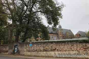 Geld voor Begijnhof en kasteelpark: “Premies voor onderhoud vermijden dure restauraties”