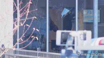 Moose crashes into Sylvia Fedoruk School in Saskatoon