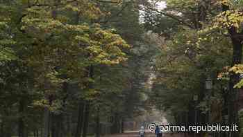 Effetto Parma: nuovi guardiani nel parco Ducale e in Cittadella - La Repubblica