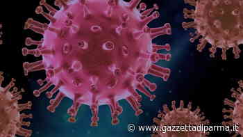 Parma, nelle ultime 24 ore la provincia con meno nuovi casi in Emilia: +2. Nessun decesso - Gazzetta di Parma