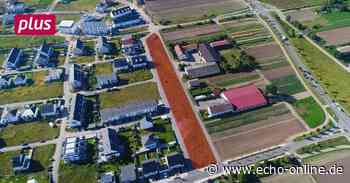 Griesheim legt eine Naturdüne als Lärmschutzwall an - Echo Online