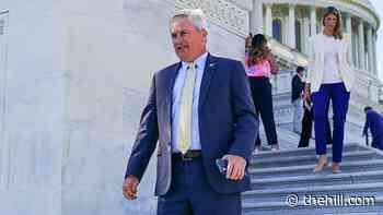 Republican: Government should waive penalties on contractors hit by supply chain issues