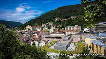 Wahl in Bad Wildbad: Zukünftiger Bürgermeister braucht ein dickes Fell
