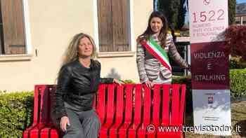 Novembre Rosa 2021: Carbonera, San Biagio e Silea uniti per le donne - TrevisoToday