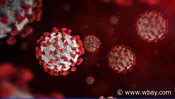 Wisconsin passes 800,000 coronavirus cases - WBAY