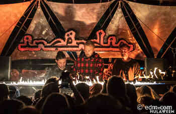 Skrillex, Bonobo, and Chris Lake Perform Historic DJ Set at Suwannee Hulaween: Watch - EDM.com