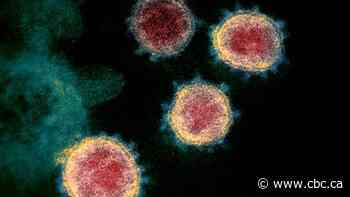 Alberta reports 516 new COVID-19 cases, 4 new deaths Thursday