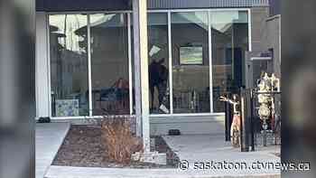 Child care staff help kids exit through broken window after moose comes crashing into Saskatoon school