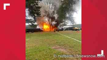 20 dogs rescued, one dog with puppies killed in shed fire in Suffolk