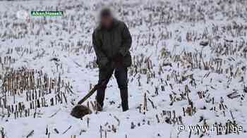 Vier maanden cel met uitstel voor zeventiger die das doodknuppelde - Het Belang van Limburg