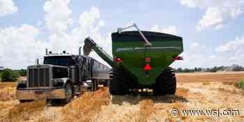 Wheat Prices Jump, Signaling More Food Inflation - The Wall Street Journal