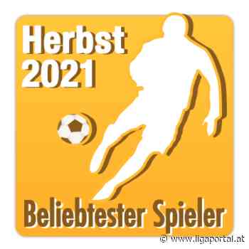 2. Klasse Steinfeld: Wähle den beliebtesten "hausbauführer.at" Spieler der Herbstsaison 2021! - ligaportal.at