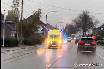 Poolse man met steekwonde naar ziekenhuis afgevoerd in Riemst - Het Belang van Limburg