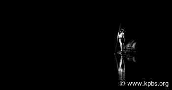 San Diego weekend arts events: Rule 42, Hip-Hop Nutcracker, Sepideh Shamloufard, red fish blue fish, and Omar Lopex - KPBS