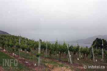 More October rain than usual in Kamloops, North Okanagan | iNFOnews | Thompson-Okanagan's News Source - iNFOnews