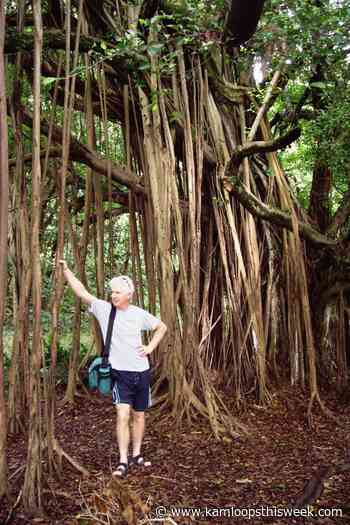 Finding your heavenly holiday in Hawaii - Kamloops This Week