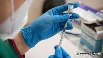 Corona: Nur 1,7 % aufgefrischt: Sachsen versagt beim Boostern - Dresden - Bild.de - BILD