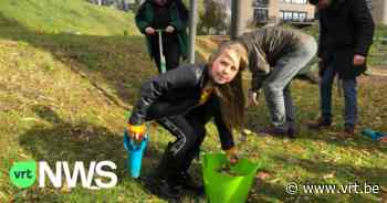 Vilvoorde heeft twee troostplekken: "Kleine, groene oases in de stad om tot rust te komen" - VRT NWS