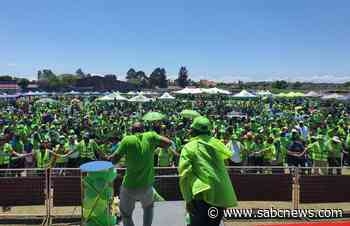 Patriotic Alliance in talks for coalition arrangements with all parties: MacKenzie - SABC News