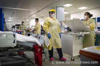 Pandemic toll: Millions of 'years lost' and life expectancies cut short - Barrhead News