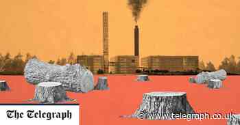 How Boris Johnson's pledge to end forest destruction ignores 25m trees Britain is burning for biomass - Telegraph.co.uk