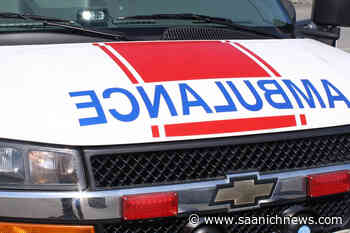 Helicopter crashes in forest on Vancouver Island, pilot injured – Saanich News - Saanich News