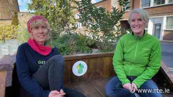 Tackling the climate crisis, a pocket forest at a time - RTE.ie