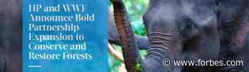 HP Inc. Expands Forest Conservation Partnership With World Wildlife Fund - Forbes