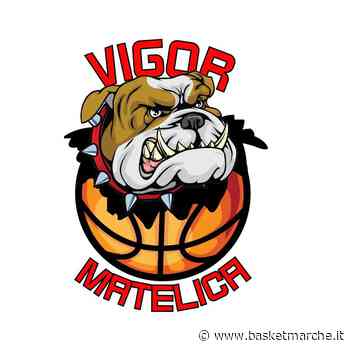 Vigor Matelica, online il nuovo sito internet della società biancorossa - Serie C Gold Girone Unico - Basketmarche.it