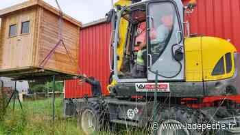 Montech. Ils se mobilisent pour éviter la prolifération des chats errants dans la commune - ladepeche.fr