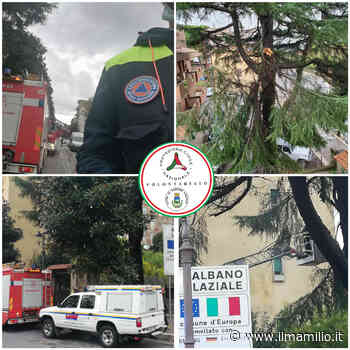 Albano Laziale | Protezione Civile all'opera per il maltempo. Messo in sicurezza albero pericolante a Borgo Garibaldi - ilmamilio.it - L'informazione dei Castelli romani