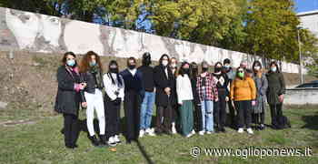 Carlo Poma, WallArt, conclusa l'opera artistica da 295 metri - OglioPoNews - OglioPoNews