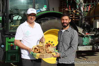 Cumpanum setzt auf regionale Getreide-Liefergruppe - Augsburg - B4B Schwaben - B4B Schwaben
