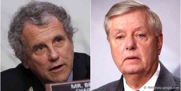 Top Democrat unloads on Lindsey Graham's argument that the Biden child tax credit will boost illegal immigration to the US: 'I just have never heard such a stupid thing'