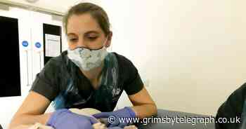 UK pet cats and dogs are catching Covid from their owners - Grimsby Live