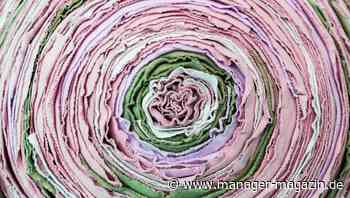 Nachhaltigkeit: Welche Kreislaufstrategie zum Unternehmen passt