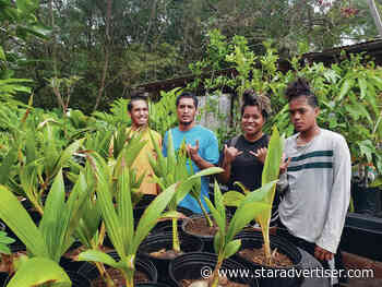 Seedlings to be given away for Arbor Day