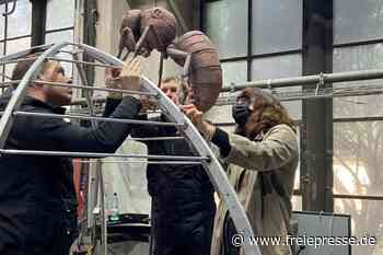 Fabelhaft: Neues Kunstwerk für den Park - Freie Presse