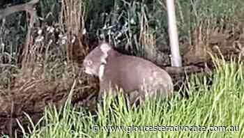 Throwing off the cloak of despair to live free again - Gloucester Advocate