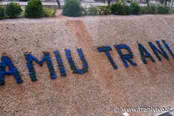 Ricavi differenziata primo semestre 2021, Amiu rimborsa il Comune di Trani per 339 mila euro - TraniViva