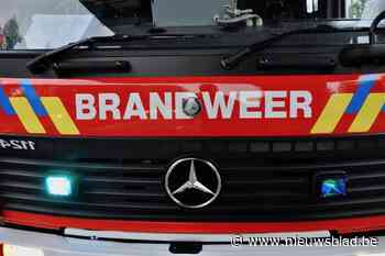 Brandweer redt 50-plusser uit brandende woning in Hemiksem