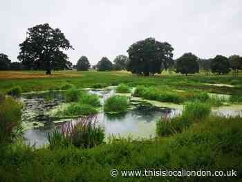 New wetlands to be created in Oakwood Park, Enfield
