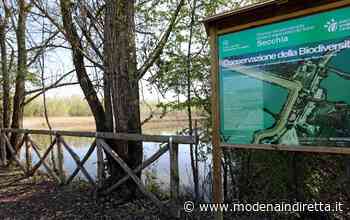 A Modena e Reggio si allarga la zona protetta delle casse di espansione del Secchia - modenaindiretta.it